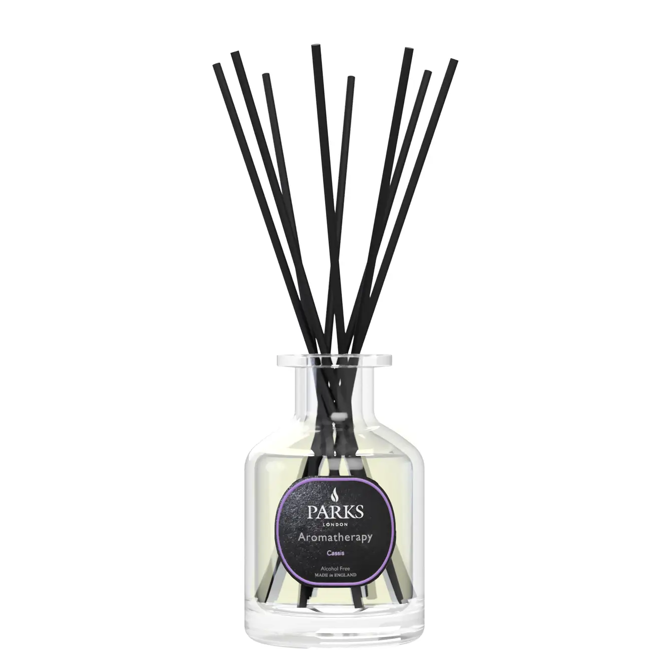 CASSIS DIFFUSER 100ML