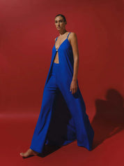 Clarissa Pants