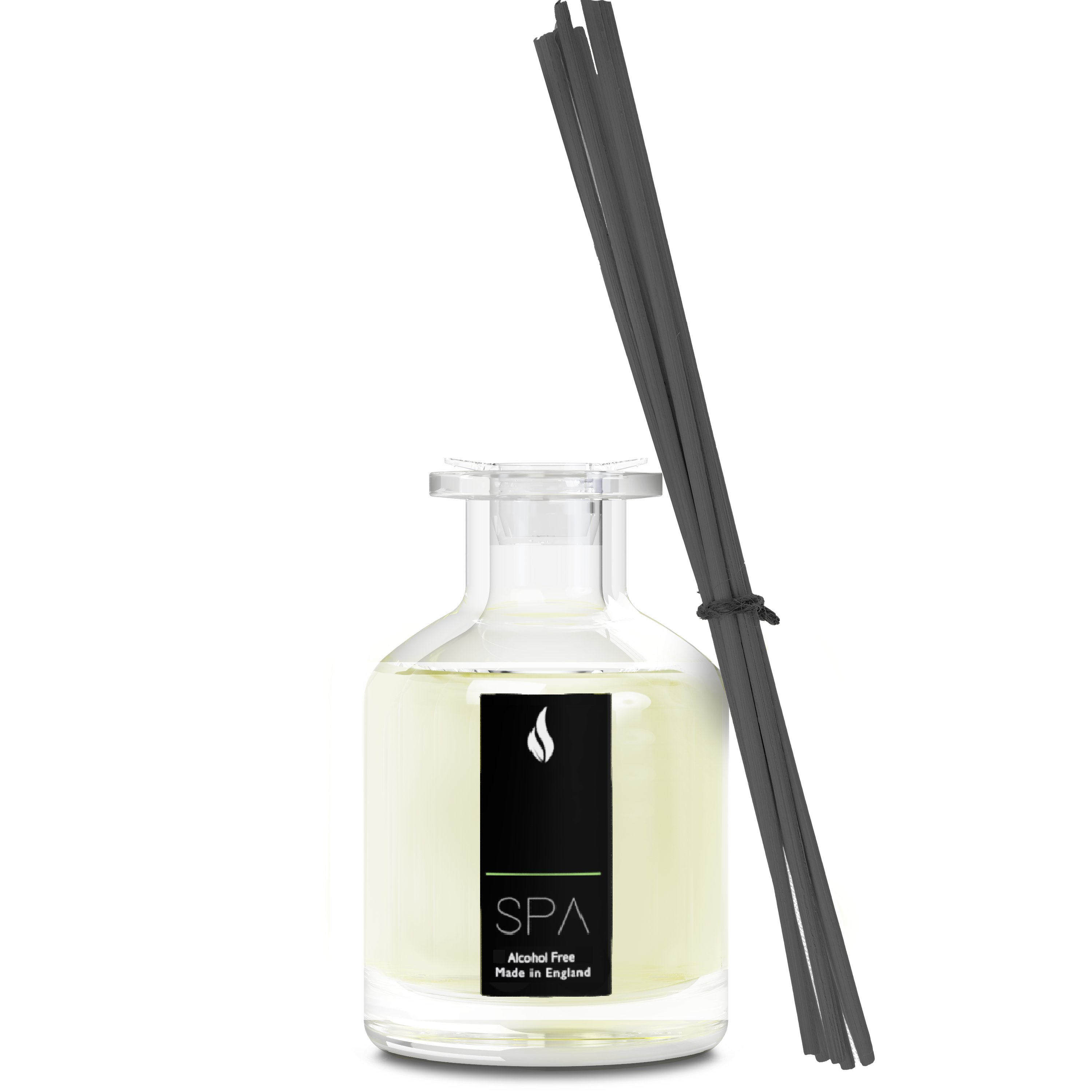 SPA ALPINE DIFFUSER 100ML