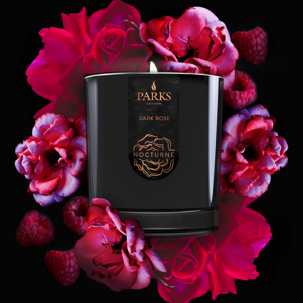 DarkRose_4d06cb7a-2f9d-4a7c-a3a6-556242e4fe3e.png