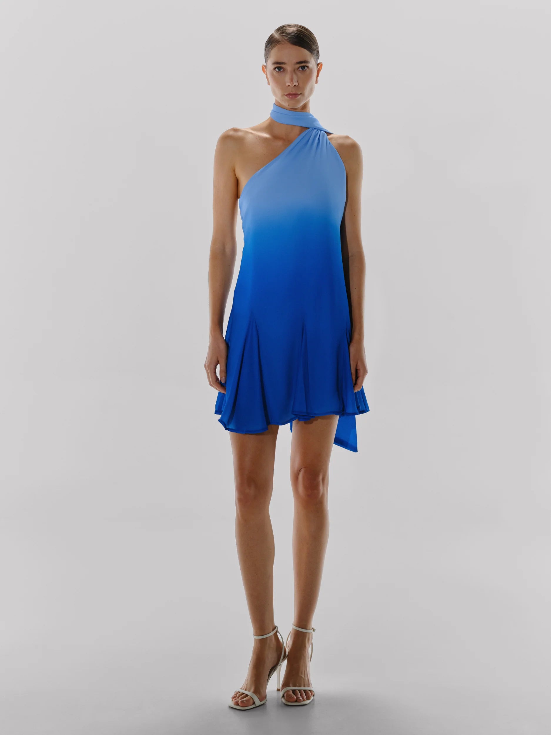 Ari Mini Dress