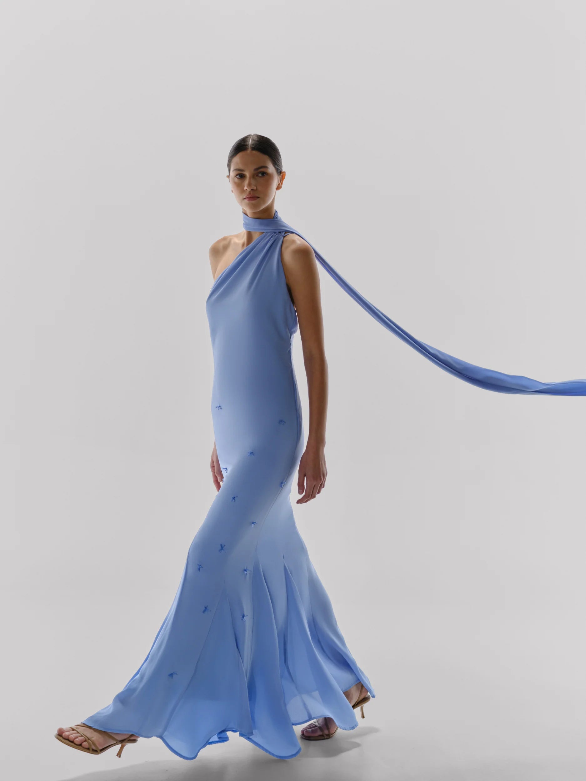 Ari Maxi Dress
