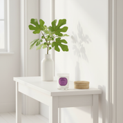 FIG CANDLE 180G