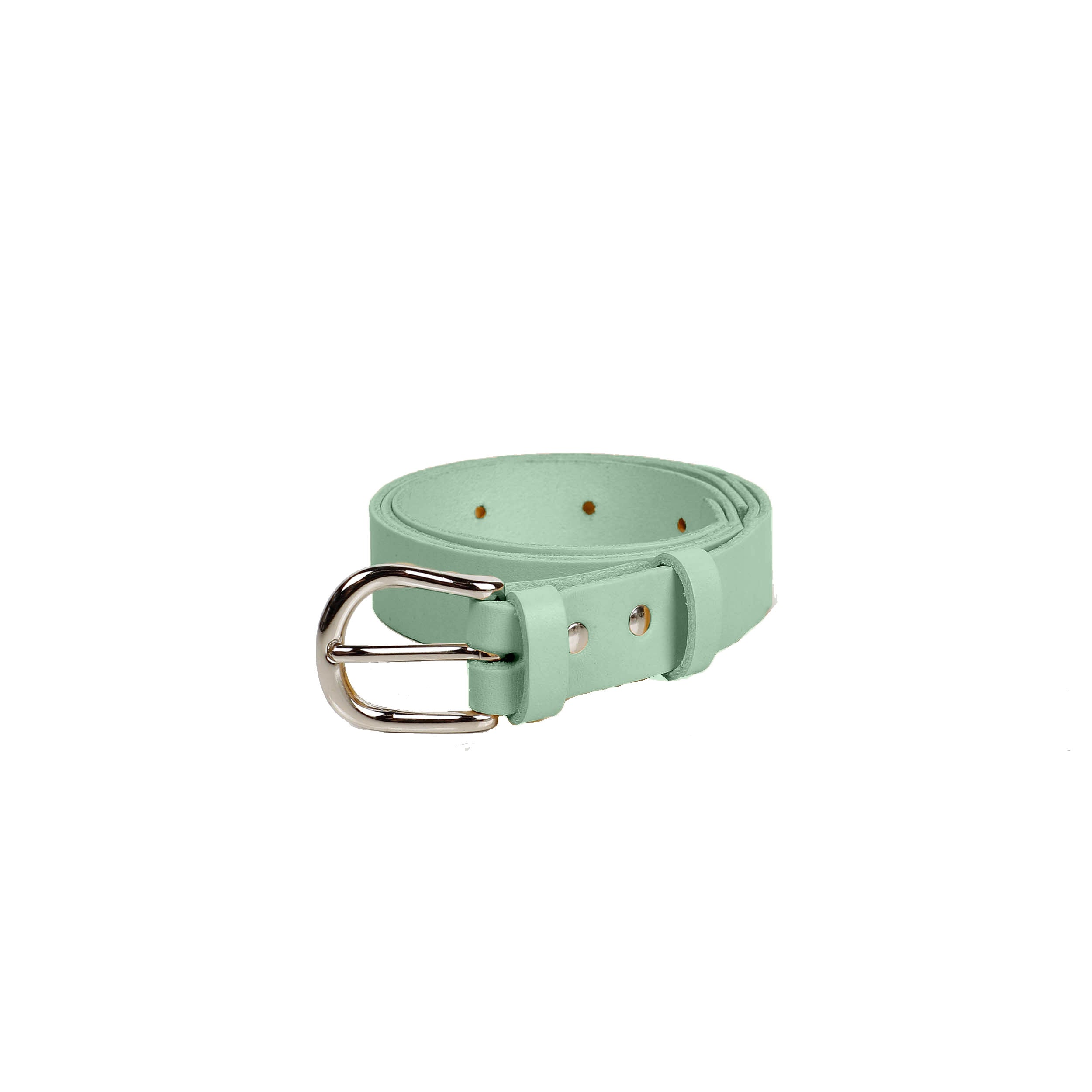 WickerWings-Belt-Mint-1.jpg