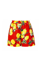 BASHARATYAN V - Mini Shorts
